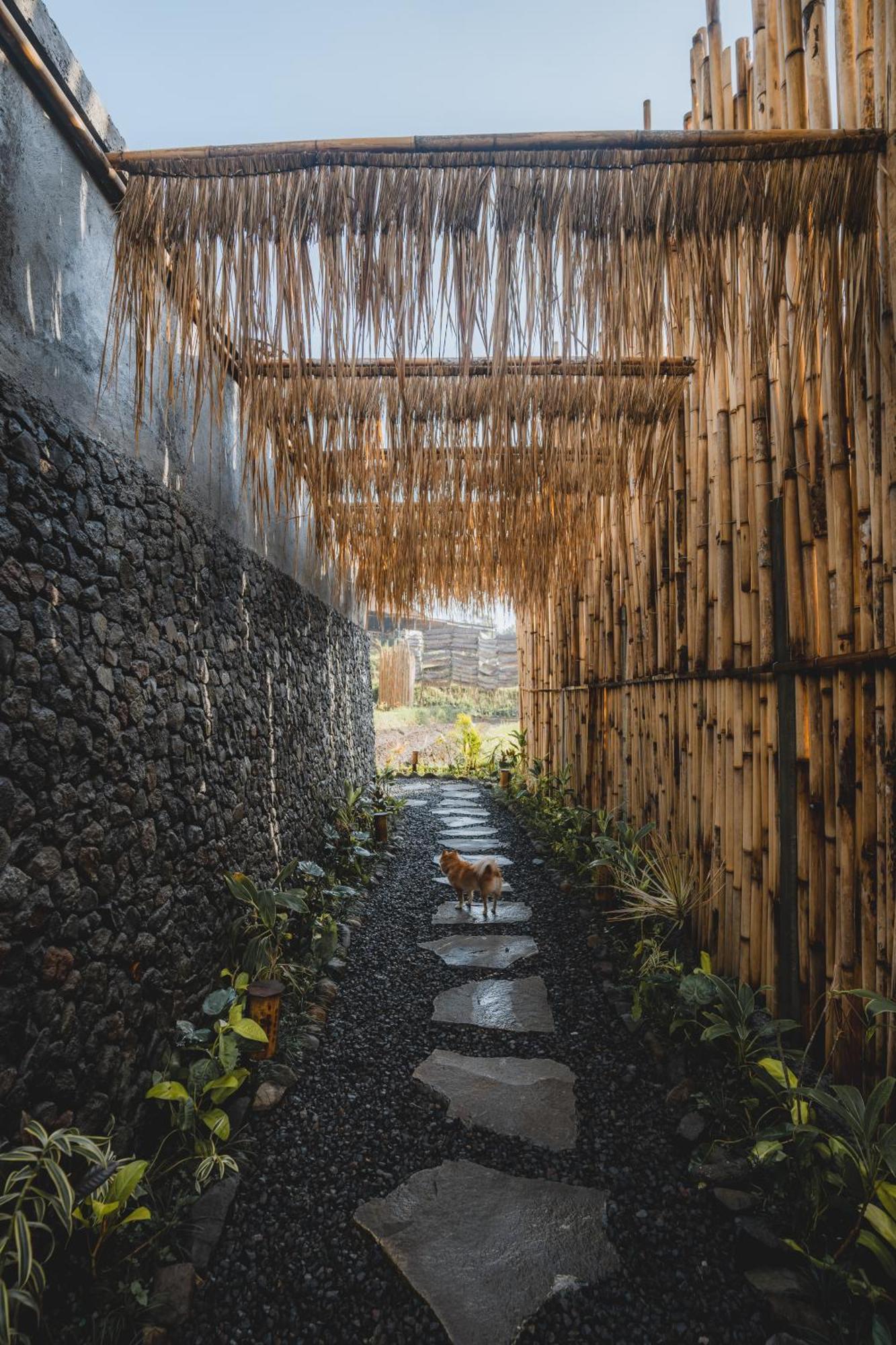 Nivriti Bali Villa Sidemen  Luaran gambar